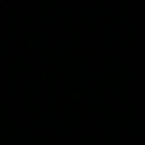 Meet your Posher, Jake